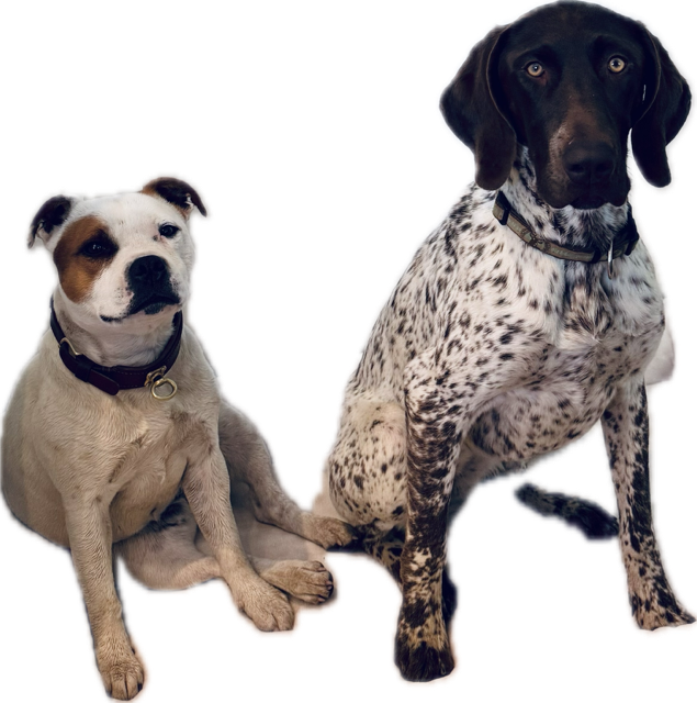Hazel & Asta